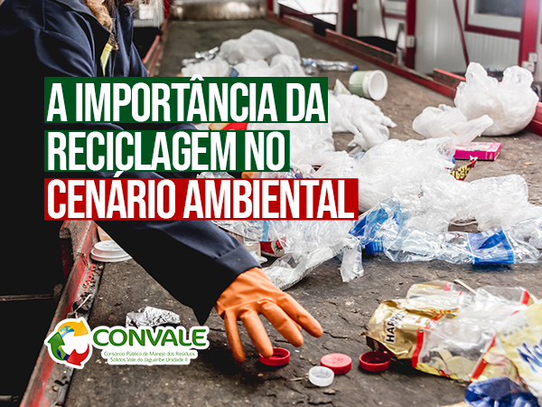 A importância do cenário